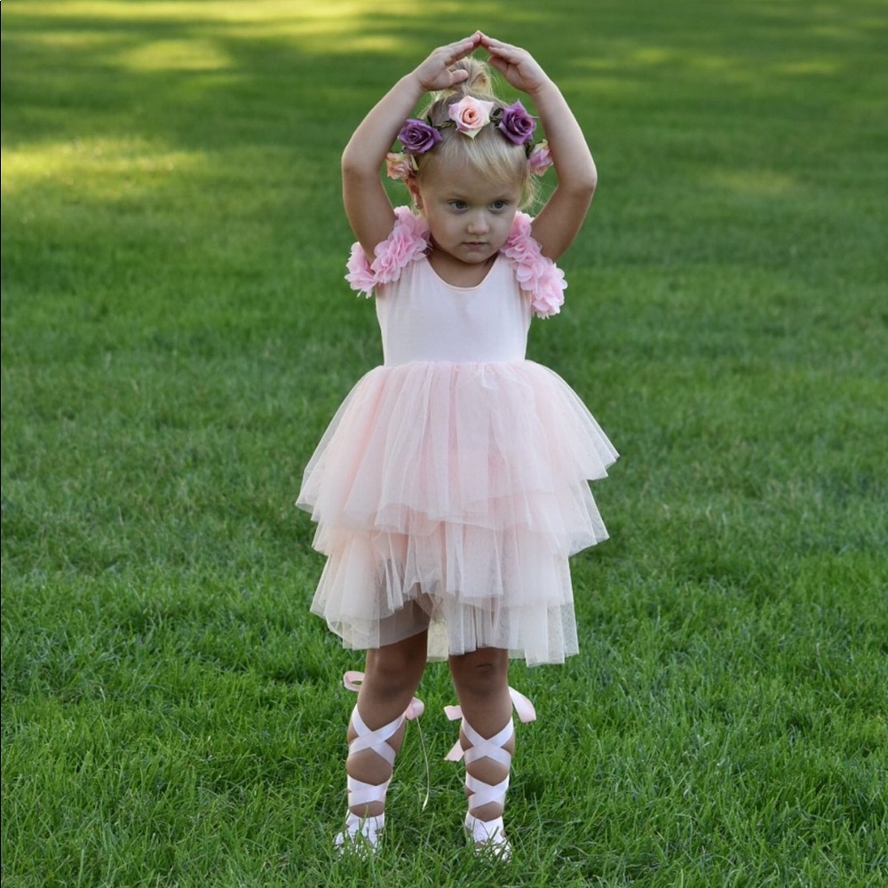 Little girls ballerina rose petal dress
